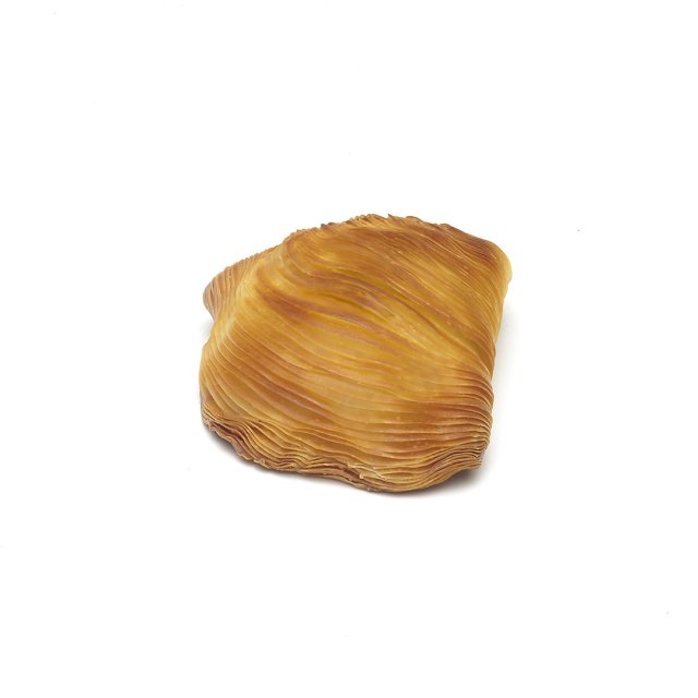 Golden-brown fan-shaped seashell with fine ridged texture, photographed against a white background.