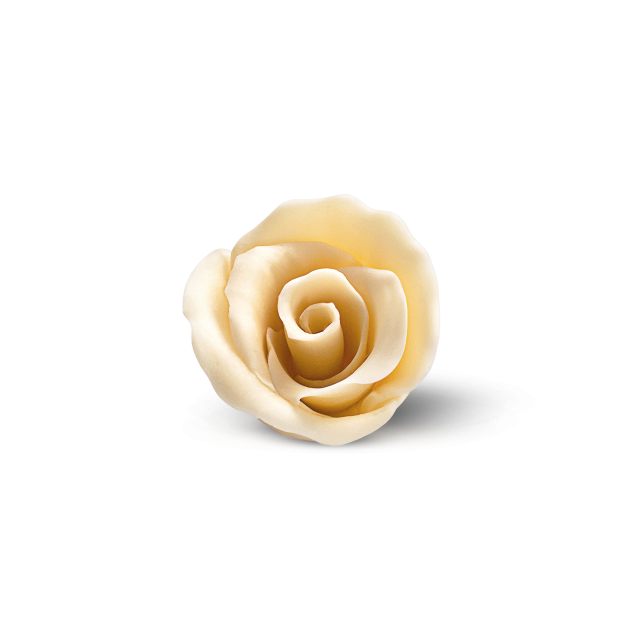 Cream-colored sugar or fondant rose decoration on a white background.