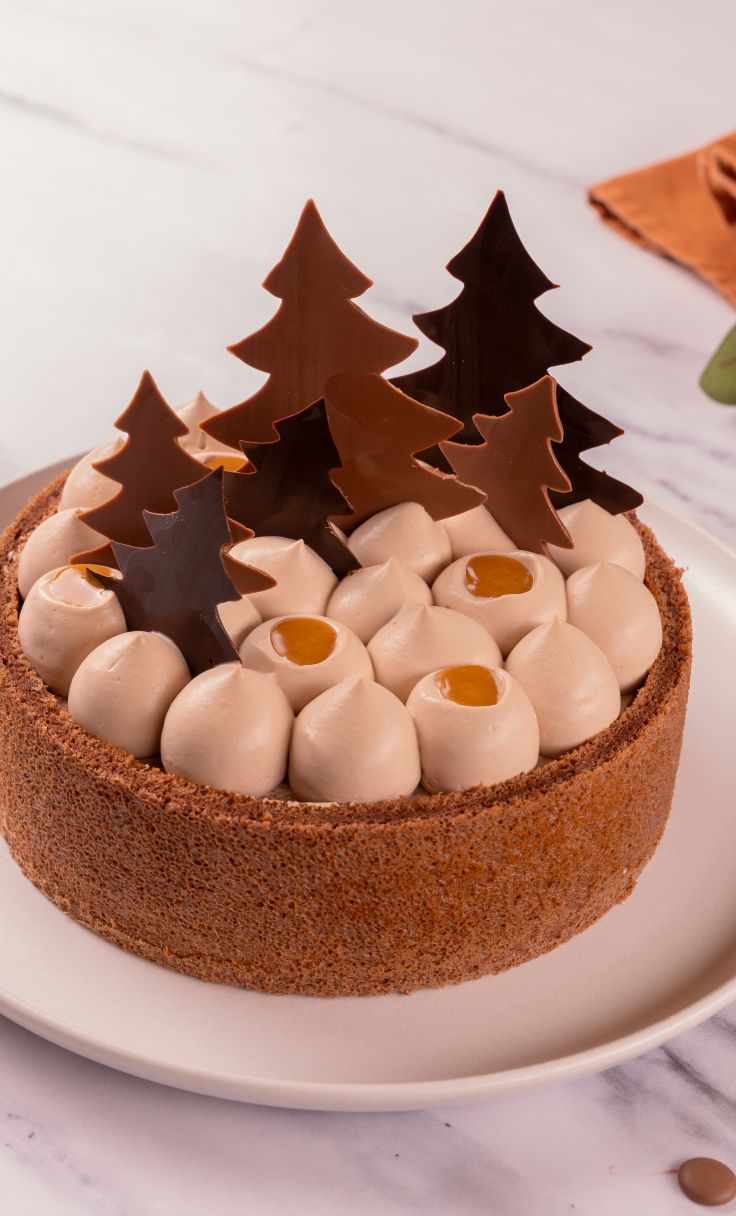 Classic Cake Gianduja