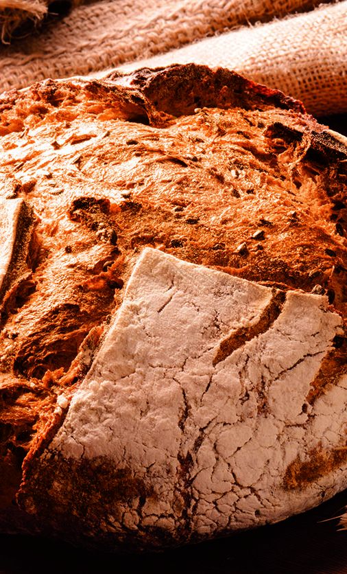 Pugliese Bread