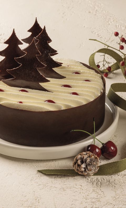 Round chocolate Christmas cake with cream swirls, cherries, and chocolate tree decorations, styled with ribbon and be...