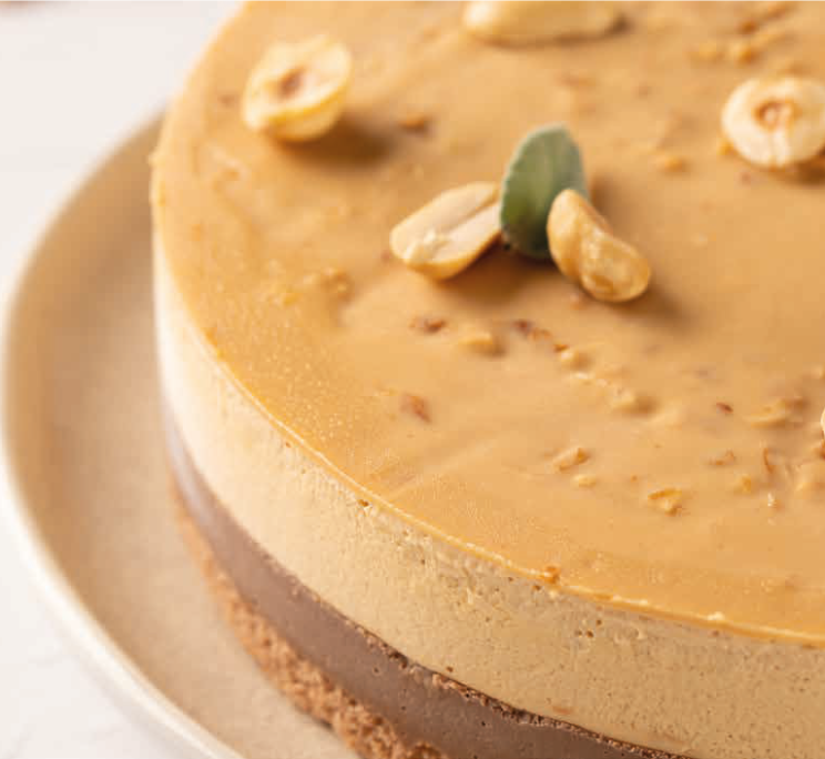 Close-up of a layered peanut butter cheesecake with a chocolate base, topped with peanuts and a mint leaf on a white ...